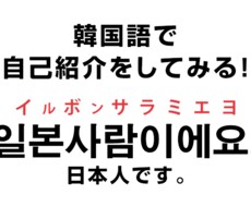 初心者から上級韓国語までビデオで指導します イメージ1