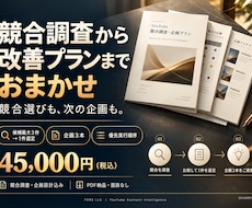 競合調査からYouTube改善企画まで代行します イメージ1