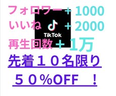 あなたのTIKTOKアカウントを宣伝致します イメージ1