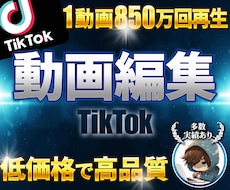 コンサル付！TikTokでバズる動画を編集します 売り上げに繋がる動画編集します！初心者にもオススメ！