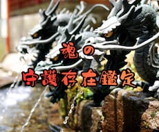 魂の守護存在鑑定　ハイヤーセルフからの神託を視ます イメージ1