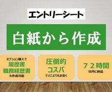 エントリーシート 白紙から作成します イメージ1