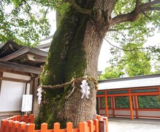 理解、共感してほしい悩みのお話しお聞きします イメージ1