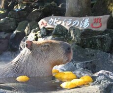 出会い系で異性と出会いたい方、出会う方法教えます イメージ1