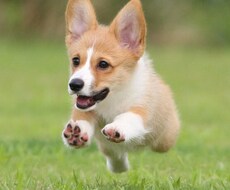 様々な経験を生かしお話相手になります イメージ1
