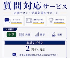 中学生の質問にチャットでお答えします 【お試しプラン】中学生の質問対応