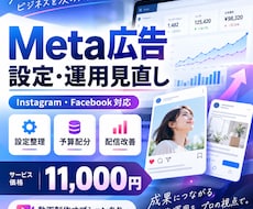 Meta広告の設定・運用を見直します イメージ1
