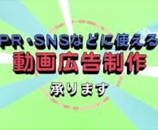 サービス紹介やPRなどに使える映像を制作します イメージ1