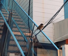 お悩みをお聞きします イメージ1