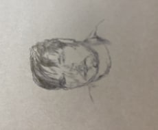 自画像 ボールペン字描きます イメージ1