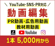 SNSの動画編集します イメージ1