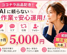 インフルエンサーの裏方がSNS運用を代行します イメージ1