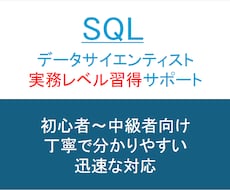 SQL学習：ビデオでSQL教えます データサイエンティストの実務レベルのスキルを身に着けよう！