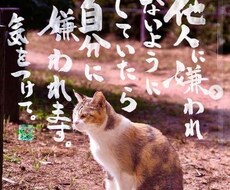 愚痴、悩み、なんでも聞きます イメージ1