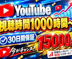 プロが視聴時間を安全に1000時間以上増やします イメージ1