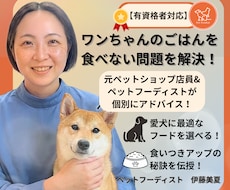 テキスト相談|愛犬のごはん食べない問題を解決します 元ペットショップ店員×ペットフーディストが個別アドバイス！