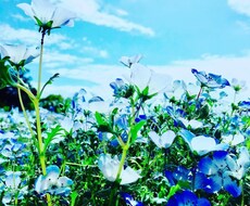 お悩み、相談をお聞きします 日頃のストレスを吐き出してみませんか？
