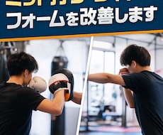 キック・パンチのフォームを改善します イメージ1