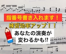 ピアノの運指の書き入れをします イメージ1