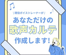 あなただけの歌声カルテ作ります イメージ1