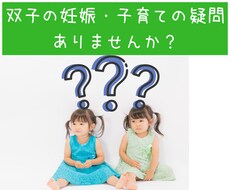 双子の妊娠・出産・子育ての相談に乗ります イメージ1