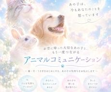 お彼岸用特別版❀　お空組の動物さんとお話します ❀アニマルコミュニケーション❀26日までのサービスです。
