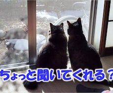 あなたのどんな悩み事も３日間じっくりお聞きします イメージ1