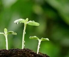 就活/転職サポートします イメージ1