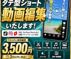 TikTokなど、縦型ショート動画の編集を承ります イメージ1