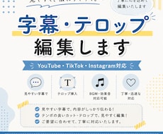 見やすい字幕・テロップを丁寧にお付けします イメージ1
