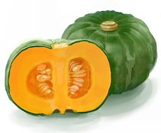 お野菜や果物、動物などのイラスト描きます イメージ1