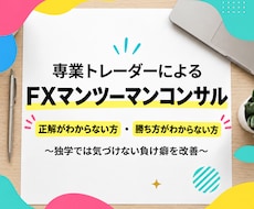 専業プロトレーダーがマンツーマンサポートします 独学では気づけない負け癖を改善