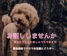 仲良くお話しします 20歳の現役女子大生とおしゃべりしたい方へ