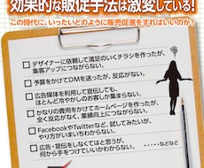 チラシなどの販促ツールを添削アドバイスします 反応がないチラシをズバリ”添削の鬼”が添削アドバイス！