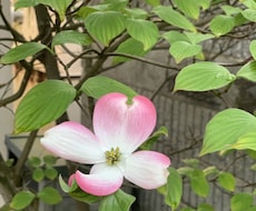 あなたのお話相手になります イメージ1
