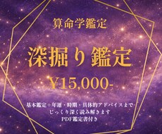 算命学鑑定｜年運・時期・深掘りアドバイスします イメージ1