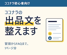 出品文（サービス説明文）を1ページ分整えます イメージ1