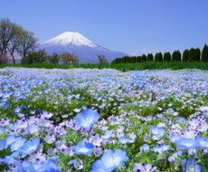 普通の主婦ですが、あなたのご相談に乗ります イメージ1