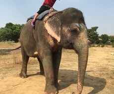 海外旅行の相談乗ります イメージ1
