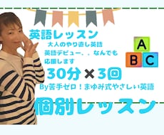 30分✖︎３回の英語のteaching をします イメージ1