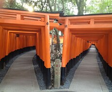 京都女性一人旅も安心！京都旅行経験19回の私が旅のプランを考えます！