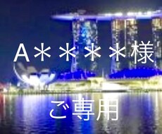 A＊＊＊＊＊様、ご専用ページとなります 光るレジュメ、お作りいたします！