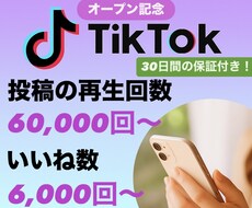 TikTok投稿の再生回数／いいね数増やします ＜＜オープン特典として1万回／1,000いいね追加中！＞＞