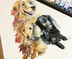 郵送可★ペットの似顔絵描きます 水彩によるカラフルなペット似顔絵イラストを製作します。