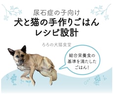 尿石症の子向けの手作りレシピ設計します 尿石症のわんちゃんねこちゃんのための手作りレシピを設計します
