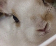 愚痴、悩み、雑談何でも聞きます イメージ1