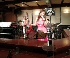 大人のプロシンガーがしっとりと歌います イメージ1