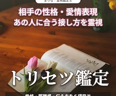 お相手の本音と恋愛トリセツを霊視でお届けします イメージ1