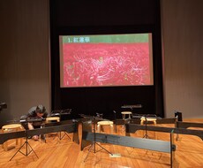 お琴のオンラインレッスン。ご自宅でレッスンできます イメージ1