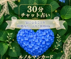 30分間チャット・ルノルマンカードで占います 30分間いくつでも質問出来ます